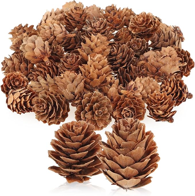 com-four® 50x Dekozapfen Lärche - Streudeko für Herbst und Winter - Zapfendeko - kleine Lärchenzapfen - Tannenzapfen (50x Lärchenzapfen Natur)