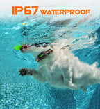 Hundeerziehungshalsband mit Fernbedienung, 1000 m Reichweite, wasserdicht (IP67), Ton- und Vibrationstrainingsmodi mit Sicherheitsverriegelung, USB-aufladbares Hundehalsband für Hunde von 3,6 bis 65 kg