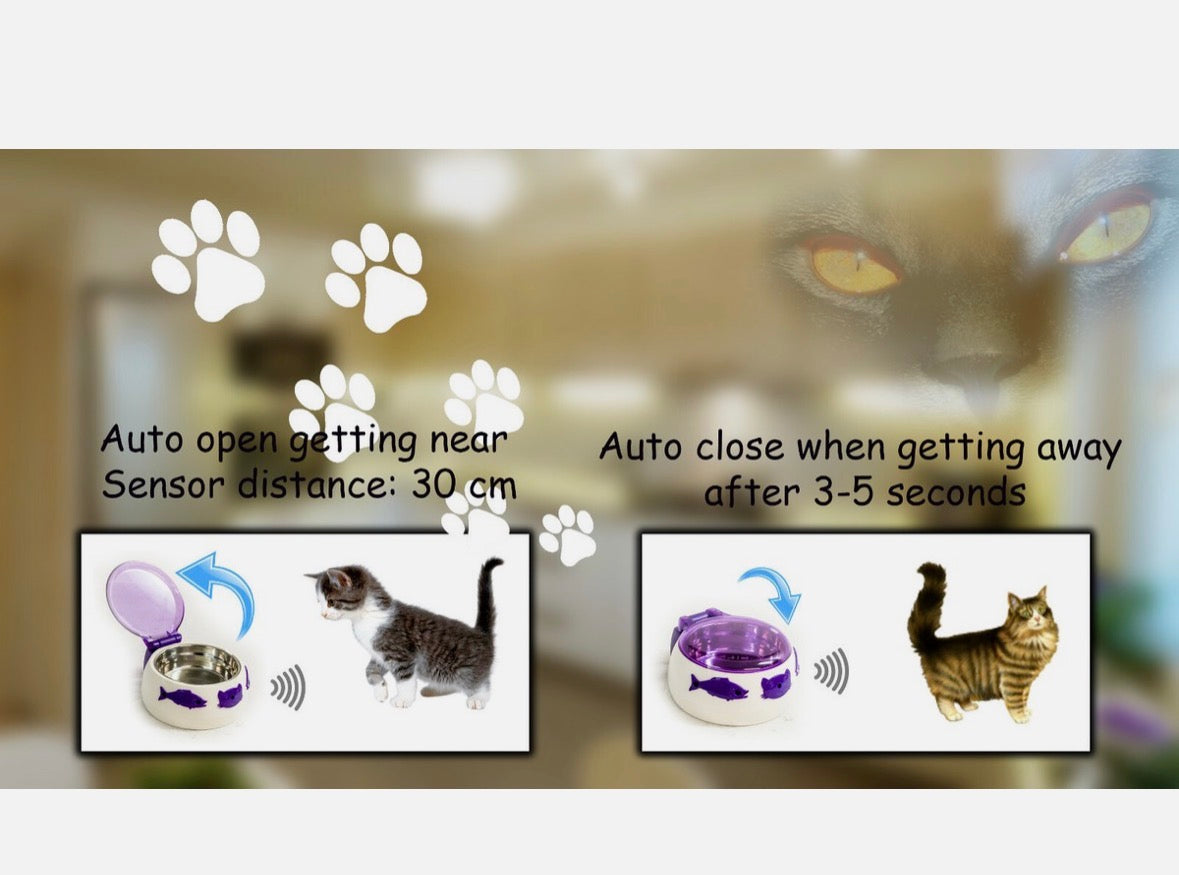 🐾 Auto-Dish Edelstahl Futternapf mit automatischem Deckel – für Hunde, Katzen & Kleintiere * UVP: 37,90€