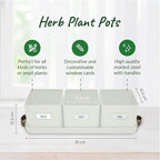 volila Fenster-Kräutergarten-Pflanzgefäß für den Innenbereich – Fenster-Kräuter-Pflanztöpfe für Zimmerpflanzen mit Ledergriffen und Etiketten – für Küchenfensterbank-Dekor, Zimmerpflanzen, Kräuter