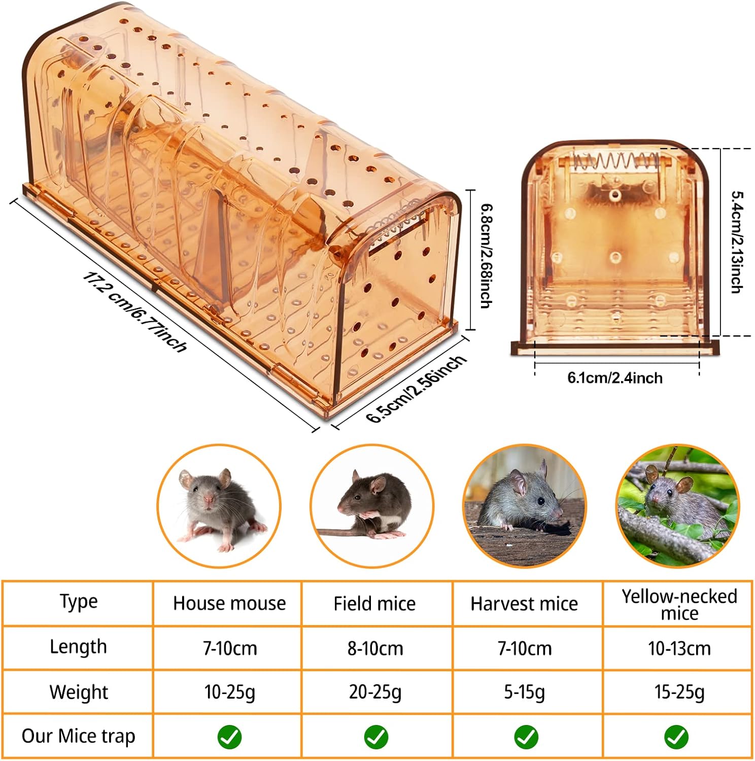 TAKRINK Mausefalle -  Lebend - 2er Set Lebendfalle - Hochsensibel Einfach zu bedienen -  Kindersicher und  wiederverwendbar