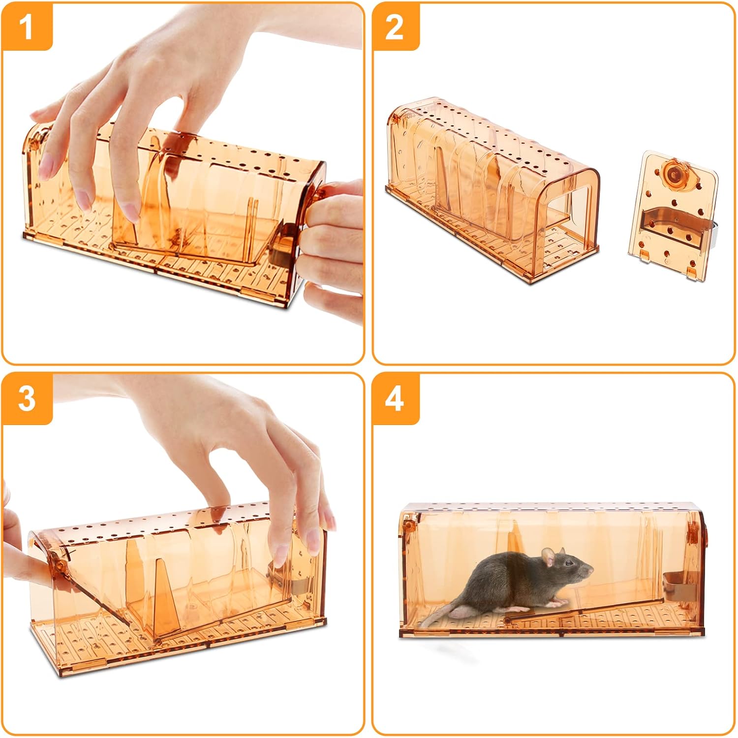 TAKRINK Mausefalle -  Lebend - 2er Set Lebendfalle - Hochsensibel Einfach zu bedienen -  Kindersicher und  wiederverwendbar