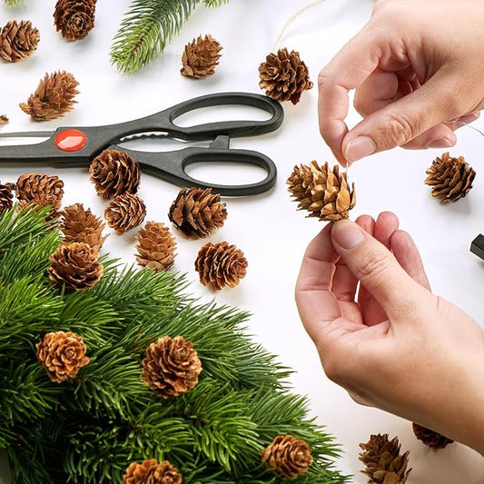 com-four® 50x Dekozapfen Lärche - Streudeko für Herbst und Winter - Zapfendeko - kleine Lärchenzapfen - Tannenzapfen (50x Lärchenzapfen Natur)