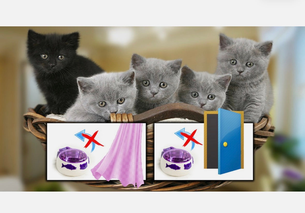 🐾 Auto-Dish Edelstahl Futternapf mit automatischem Deckel – für Hunde, Katzen & Kleintiere * UVP: 37,90€