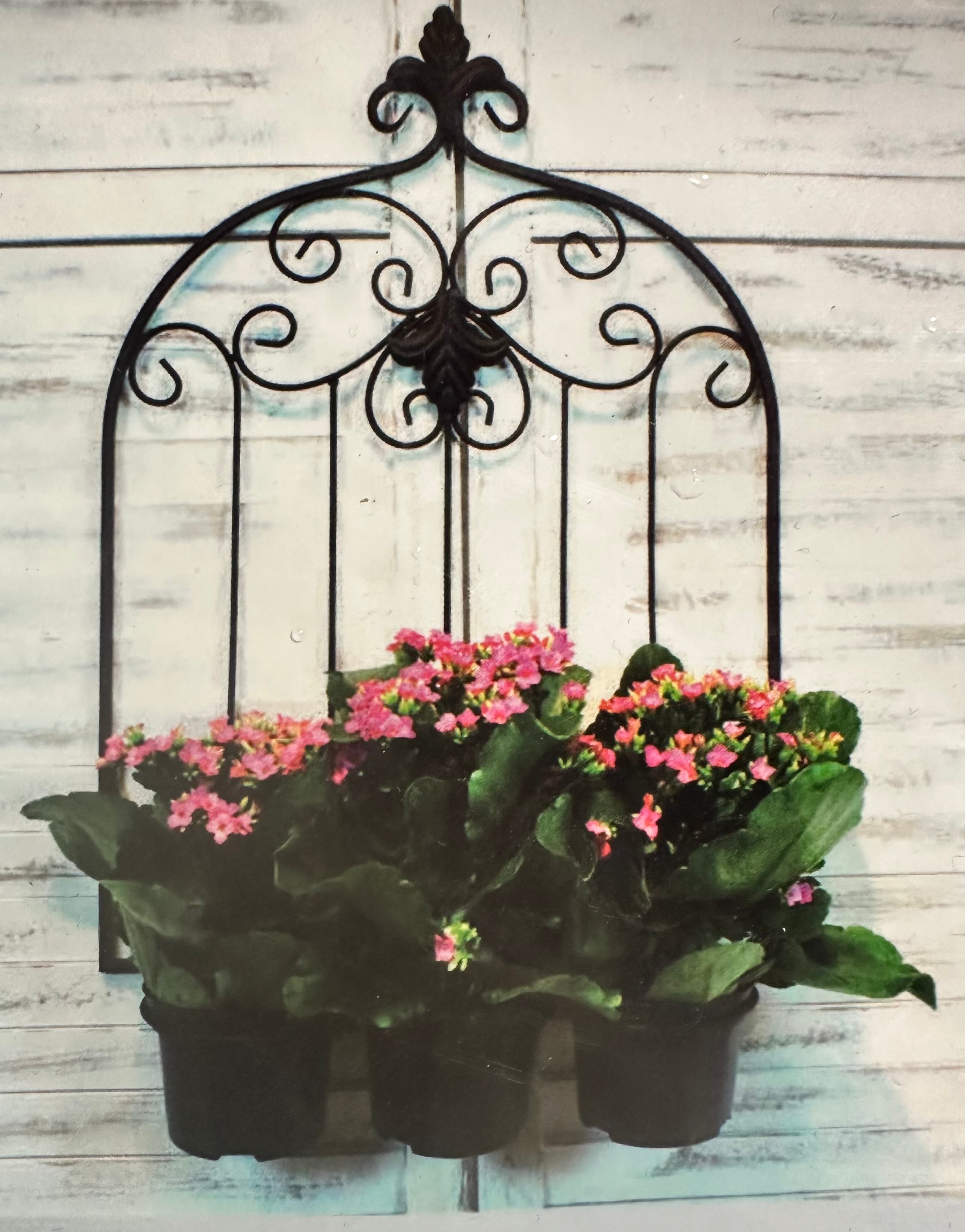 Pflanzenhalter Home Accents ca 55cm